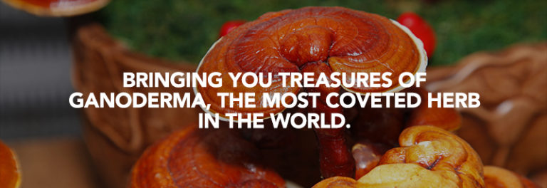 Ganoderma Education is bringing you treasures of Ganoderma, the most coveted herb in the world! Brought to you by LowCarbAndKetoMeals.com!